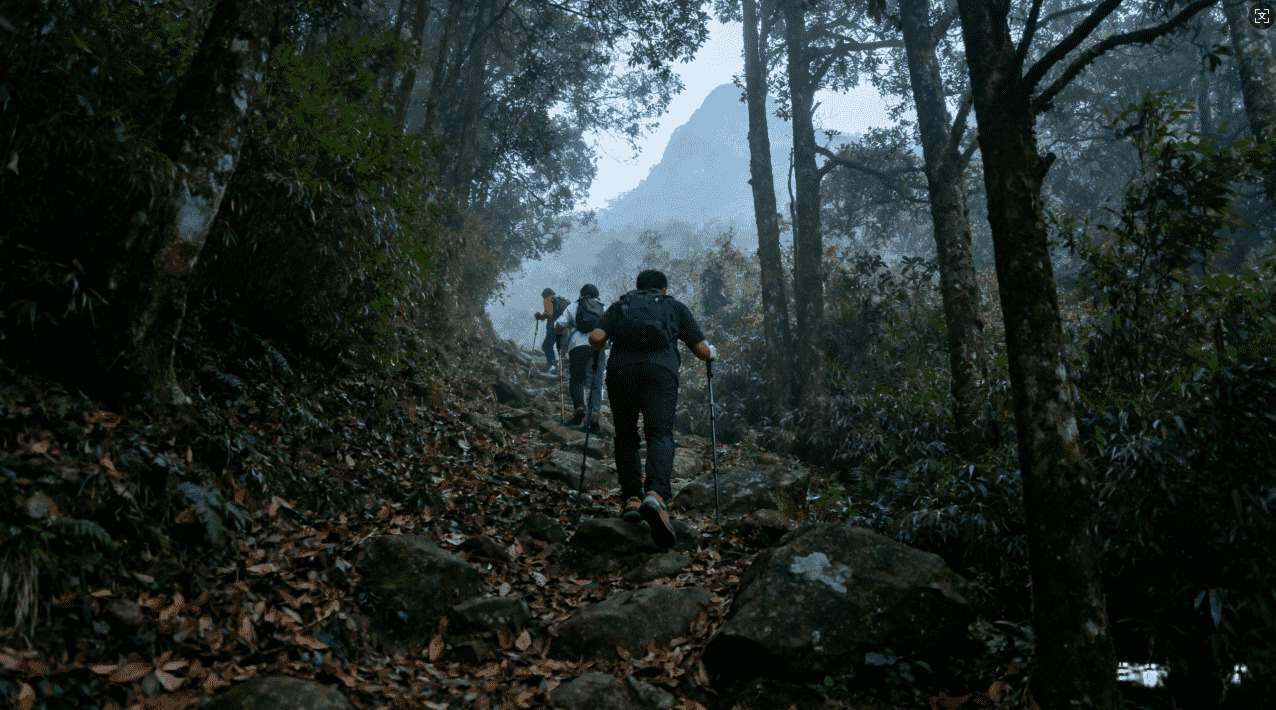 天行加速器1.12下载站点推荐及安装使用详细步骤指南